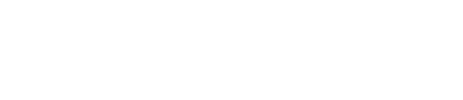 SkyNet Couriers
